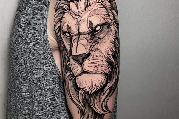 002b4423db235fa038af4d6cb419fa5b