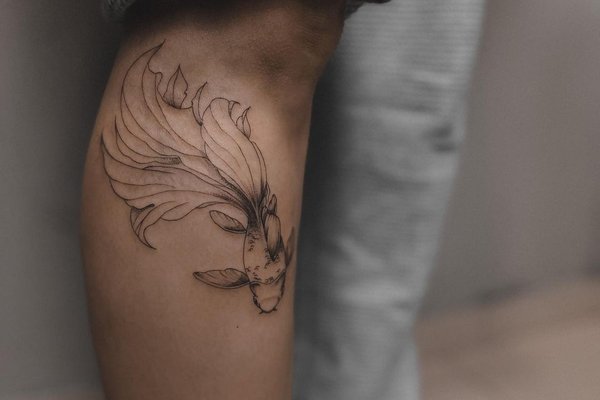 335742486_1105486357075486_3457086246444570304_n