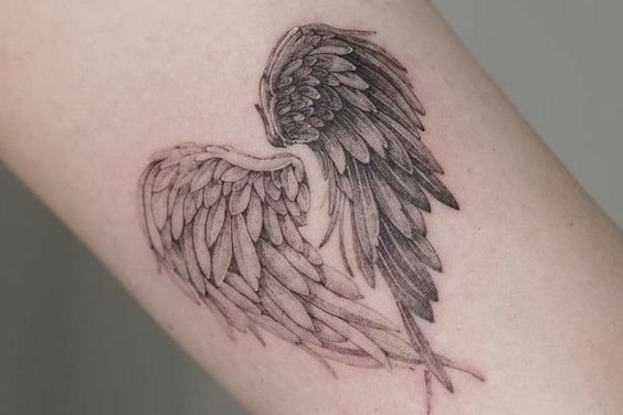 Крылья Ангела (17)