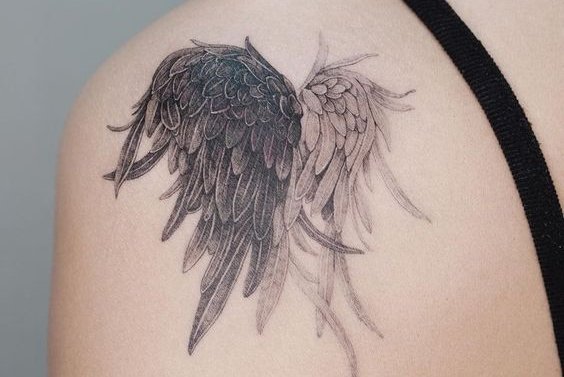 Крылья Ангела (21)